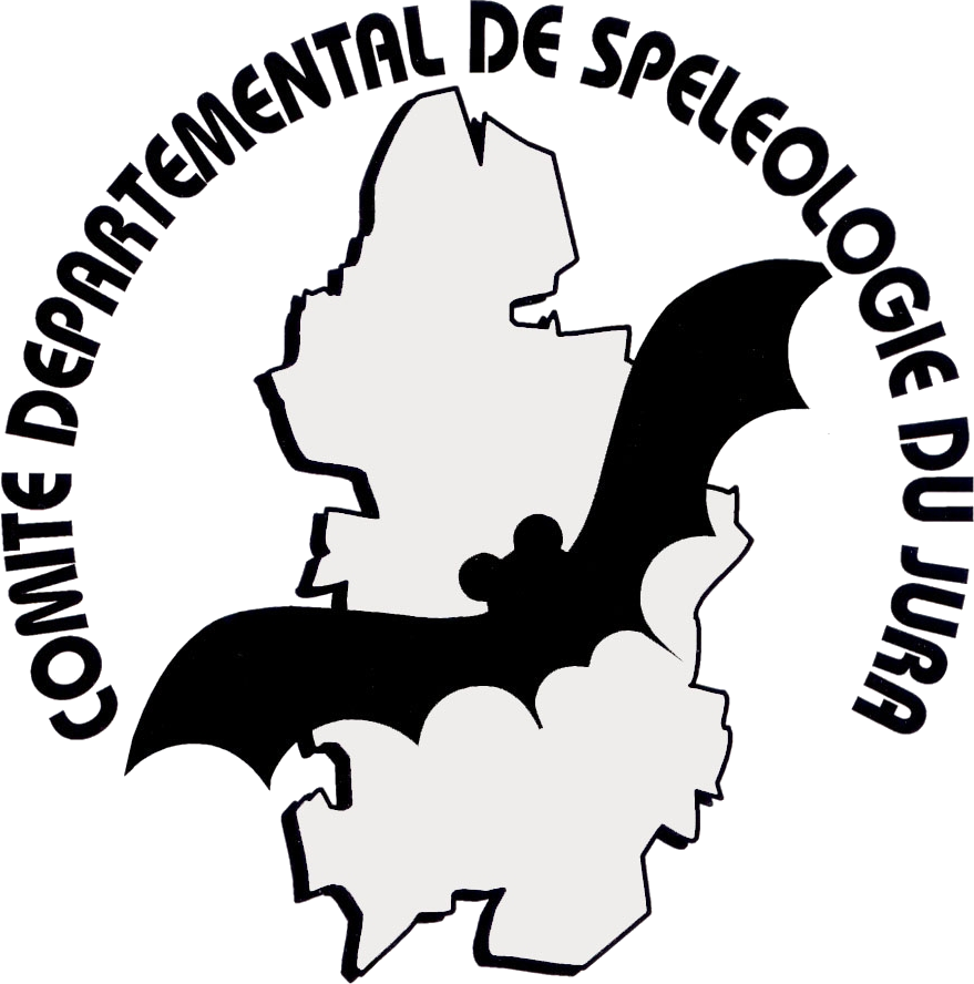 logo CDS
